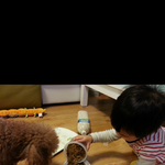 [티제리] 8탄  태준애비와  태준이와  제리의 성장일기