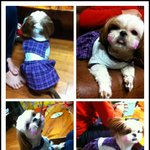 [개<b>옷</b>만들기]  미싱으로 <b>강아지옷</b> 만들기