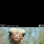 [<b>xoxo</b>] 아진짴ㅋㅋㅋㅋ웃곀ㅋㅋㅋㅋ