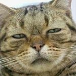 [WIN] 헐 <b>위너</b> 실력 쩐다ㄷㄷ