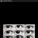 [비상대피소] 눈 12개 문제 이거봐