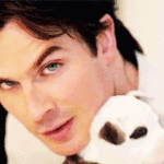 훈훈한 외국 훈남과 귀여운 강아지들.<b>gif</b>