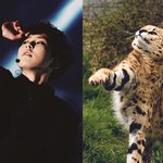 [시우민] 표범도 닮은 슈밍 ㅋㅋㅋ