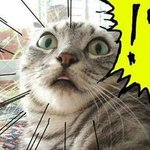 [시우민] 시우민석이 꿈꾸는법 