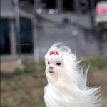 [꼭조언부탁] 지하철에서 <b>봉변</b>을 당한걸까요?ㅠㅠ