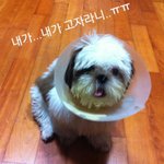 [후기추가용] (추가) <b>표정관리</b> 참 안되는 개