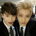 [<b>xoxo</b>] 타오 웨이보 프사 업뎃