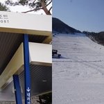 신년엔 나 혼자라도 즐겁게 보내는 방법이 있다!?