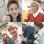 [시우민] 아이비 트윗 뜬거 봤음??