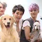 [시우민] 필독)) 오늘 복습해야 되는거