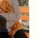 [도와주세요] 한번만 꼭좀봐주세요 힘을주세요,,도와주세요