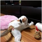 [완두콩이] <b>한지붕</b> 세여인17_ 완두 콩이 등장!!