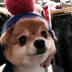 [단지<b>요지</b>] 6탄) 벌어진다 단추들이...!!