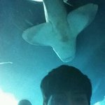 [인피니트] 동우도 구플올렸대요ㅠㅠㅠㅠ