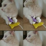 우리<b>아가</b> ㅎㅎ