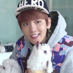 [백현] 개마음 = 내 마음