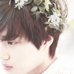 [카이] 미친 잠이안와 ㅠㅠ