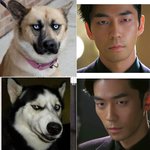 [유머] 신성록 닮은 <b>개들</b>