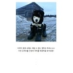 유쾌<b>상쾌</b>통쾌! 따끈따끈한 코미디 영화가 왔어용~!