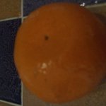 귤 어디가 앞이고 <b>뒷면</b>인가염??