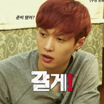 [CHEN] 심심했던<b>비글</b>들에게레이는