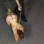 현실적인 여자의 사회적 <b>지위</b>.gif
