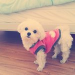 [유봉이네] <b>사진</b> <b>저장</b>방