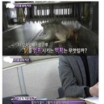 이제 <b>치맥</b>은 못 먹는건가...