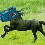 [블락비] 이태일트위터말인데