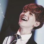 [백현] 나는 <b>독서</b>를 하겠어 똑똑한 꽃님이를좋아할듯