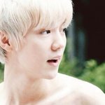 [루한] 허니<b>드류</b>ㅠㅠㅠ