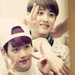 [백현] <b>꽃</b>님이들아 이때<b>사진</b>