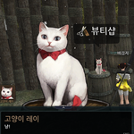 [레이] 하는<b>게임</b>중에 레이생각나서..