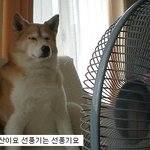 [유머] <b>개편</b>한세상.jpg
