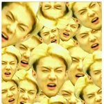 [<b>xoxo</b>] 나 또 정지