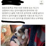 얘네들어떻게<b>해요</b>.. 살려주고싶어요(수정)