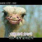 [비상대피소] 들을만한노래추천해드림.