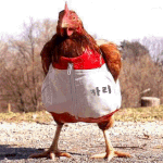 [난공불락] 닭과 식인종 3탄 식인종 나라에서 초청장을 받은 우리에...