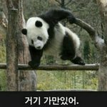 [시우민] 아육대 짤린 웅녀들 봐