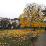 [LIFE]영국- 런던에서 가장 큰  Regents <b>Park</b>!!