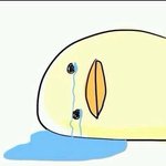 [블락비] 아육대가<b>신분들</b>!!!!!!!!!!!!!!!!!!!!!!...