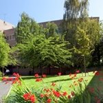 [HOT]영국- BMW, Ferrari의 차기 디자이너가 되는 방법...