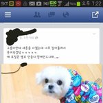 [유머] 여자들 사진의특징.<b>jpg</b>