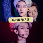 [세훈] 이 머리를 <b>소화</b>할 수 있다니