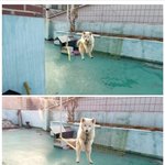 [유머] <b>개신남</b>.jpg