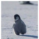 [도경수] 귀염씹떡<b>주의</b> 