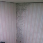 [도와주세요] 신축 원룸 벽 <b>결로</b>현상ㅜㅜ