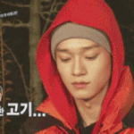 [비상대피소] 드라마내스타일아닌데.