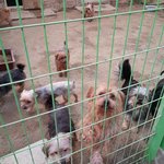 행강집 아이들에게 깨끗한 물을 먹이고 싶어요