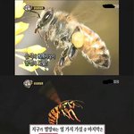 [블락비] 우리 방송탓엇음ㅋ